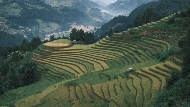 Terraced fields seen from the Mon Cham viewpoint on the Samoeng Loop